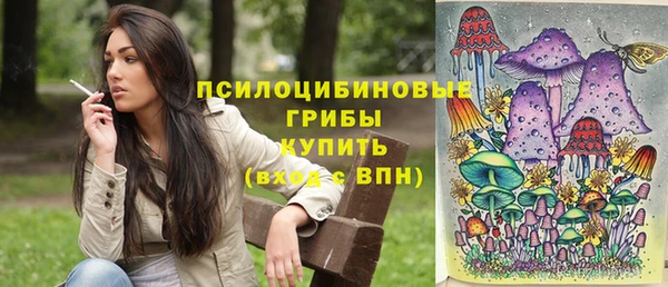 a pvp Костерёво
