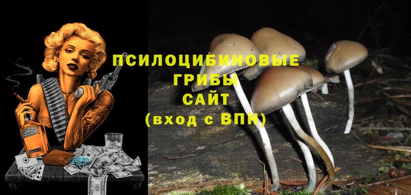 экстази Нягань