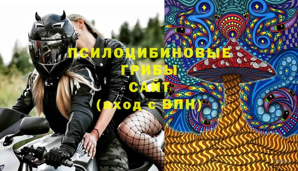 стаф Корсаков