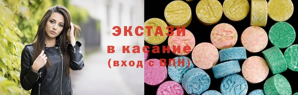 стаф Корсаков