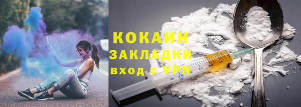 прущие грибы Краснотурьинск